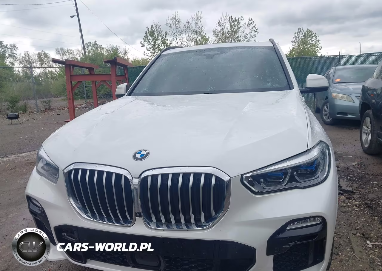 2019 BMW X5 xDrive40I VIN:5UXCR6C55KLL35784 - 12