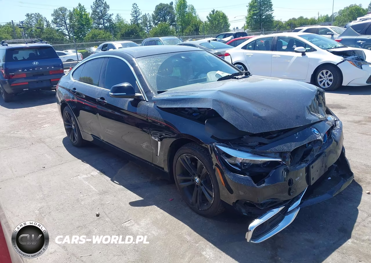 2019 BMW 430I Gran Coupe xDrive VIN:WBA4J3C52KBL09979 - 13