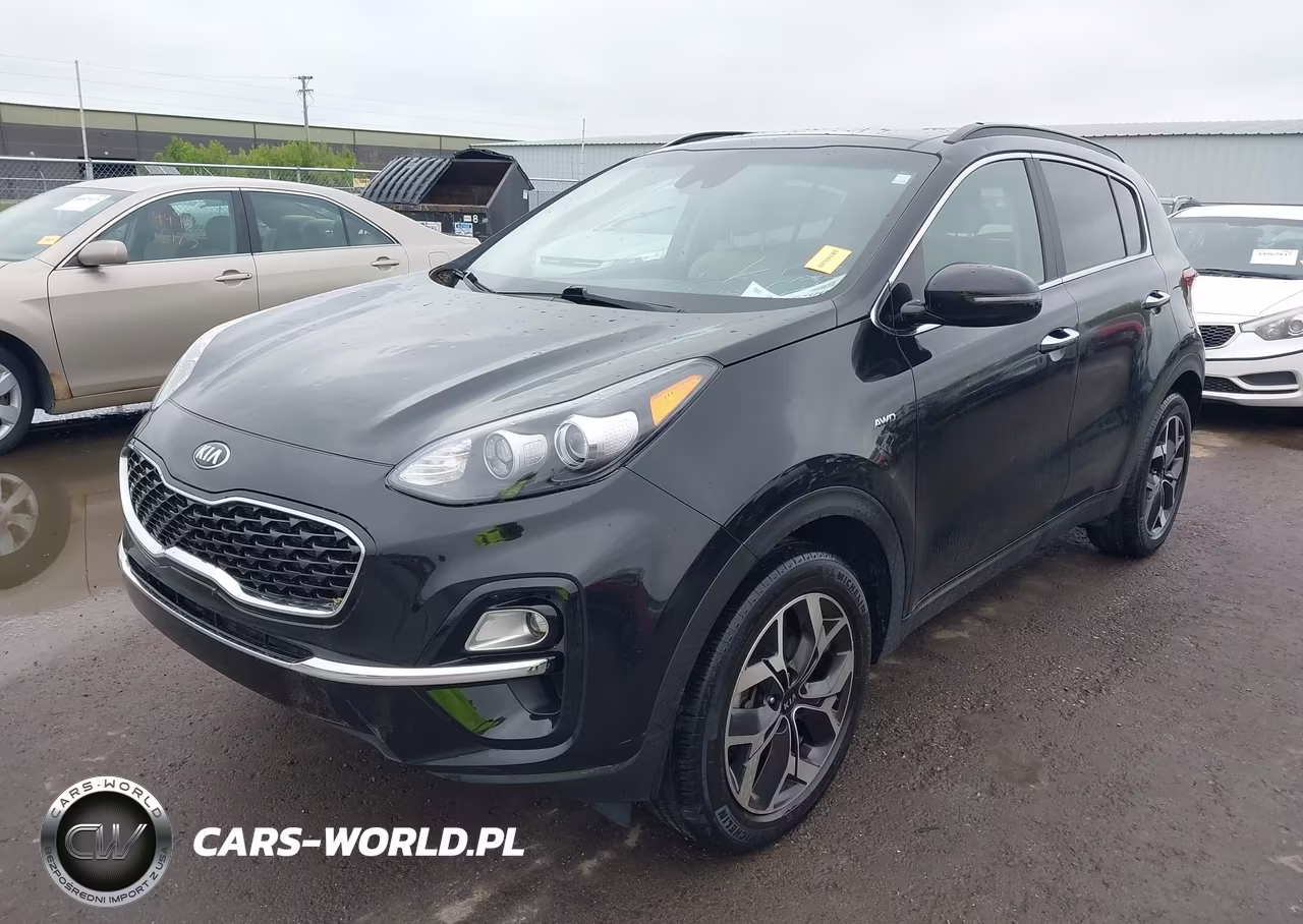 2022 Kia Sportage Ex VIN:KNDPNCAC7N7007889 - 2