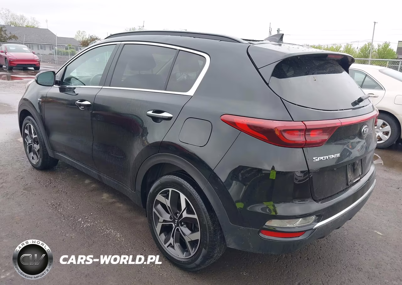 2022 Kia Sportage Ex VIN:KNDPNCAC7N7007889 - 3