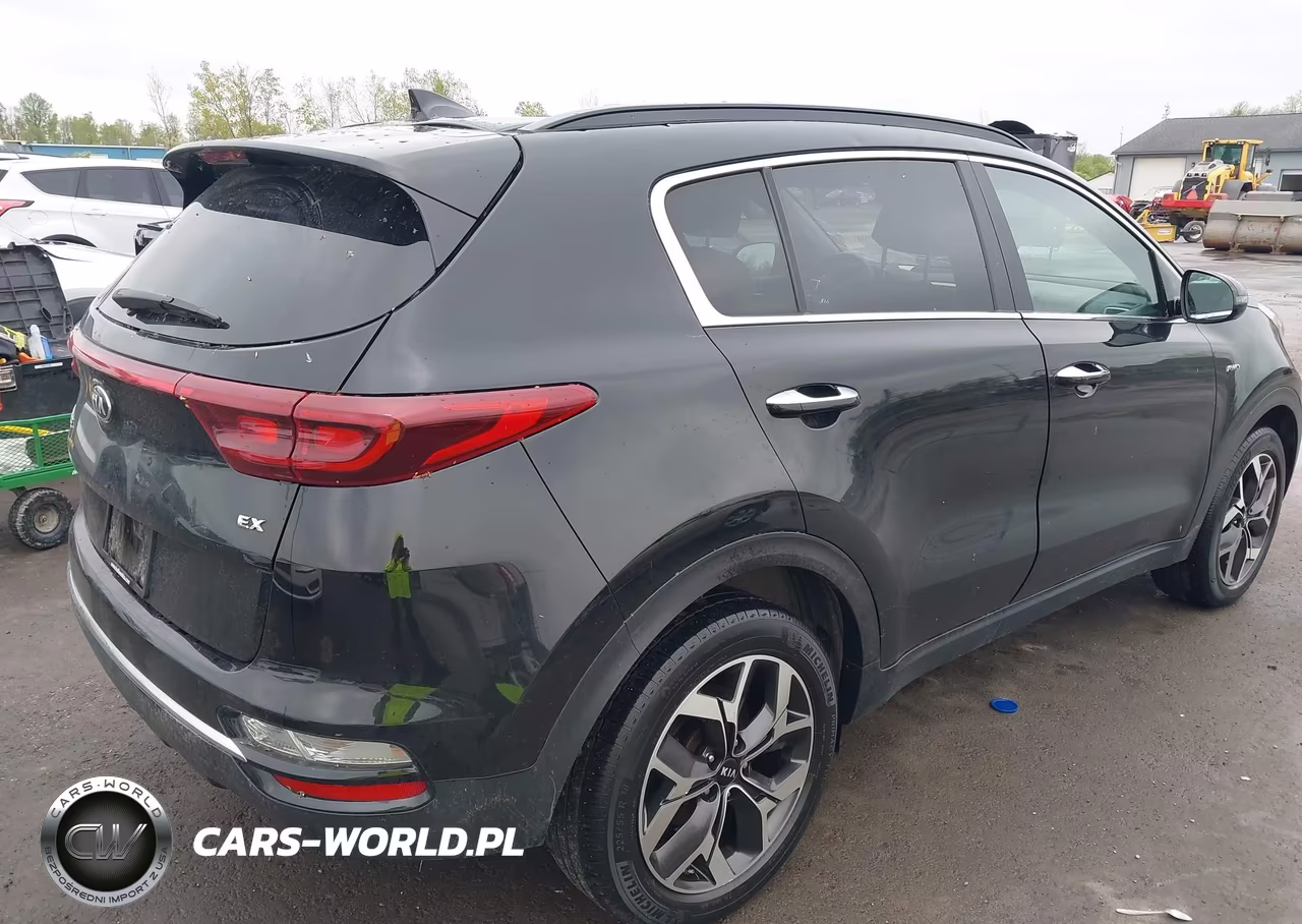 2022 Kia Sportage Ex VIN:KNDPNCAC7N7007889 - 4