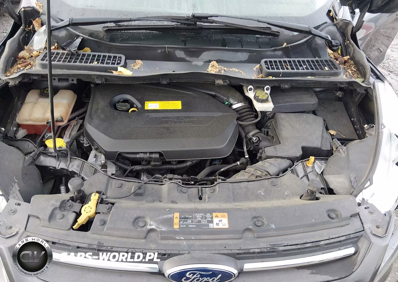 2015 Ford Escape Se VIN:1FMCU0GX5FUB42670 - 10
