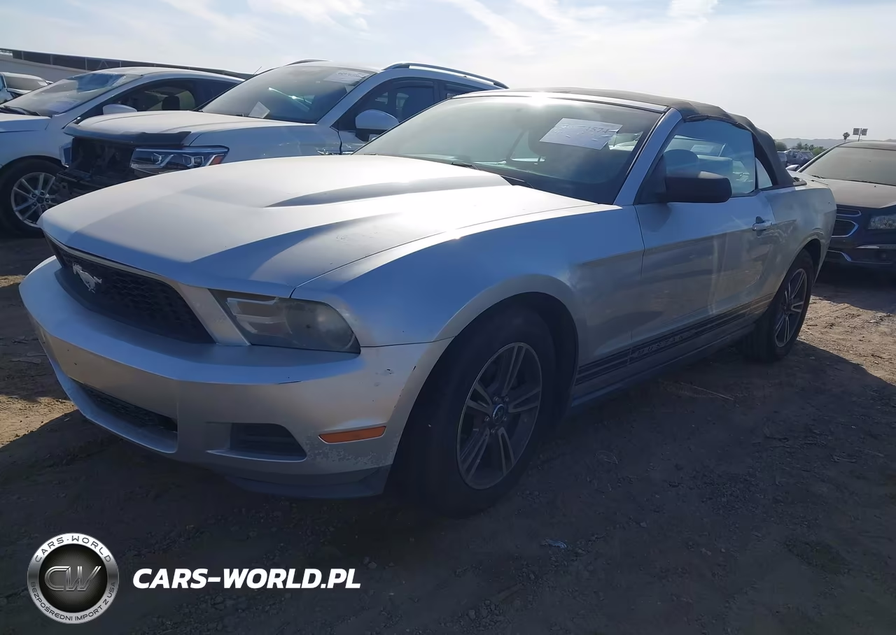 2010 Ford Mustang V6-V6 Premium VIN:1ZVBP8EN2A5157344 - 2