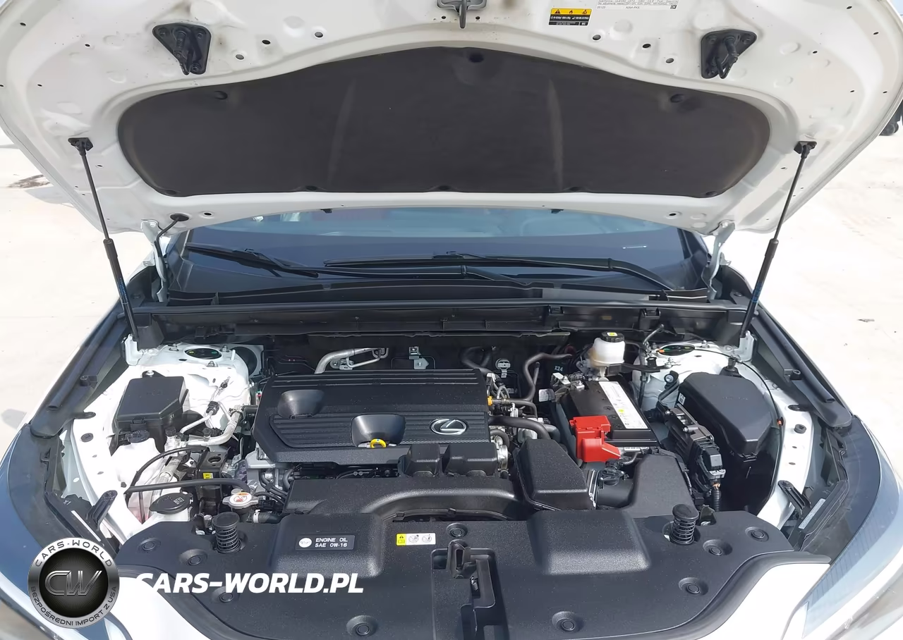 2025 Lexus Nx 250 Premium VIN:JTJGDCAZ7S5023098 - 10