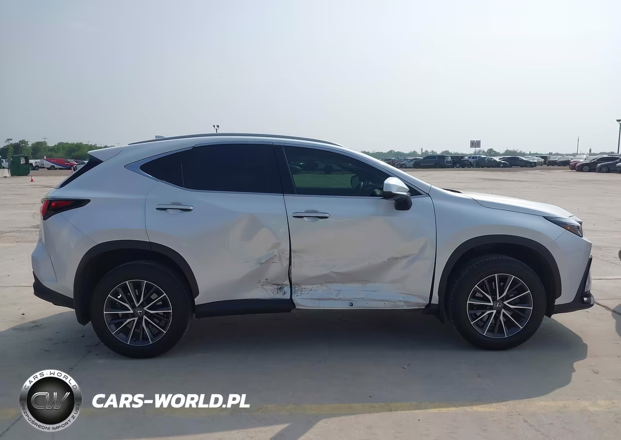 2025 Lexus Nx 250 Premium VIN:JTJGDCAZ7S5023098 - 13