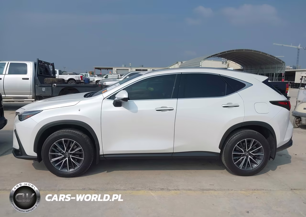 2025 Lexus Nx 250 Premium VIN:JTJGDCAZ7S5023098 - 14