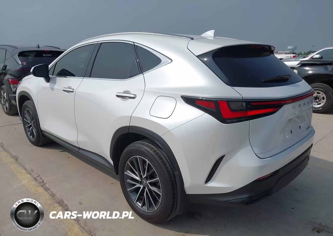 2025 Lexus Nx 250 Premium VIN:JTJGDCAZ7S5023098 - 3