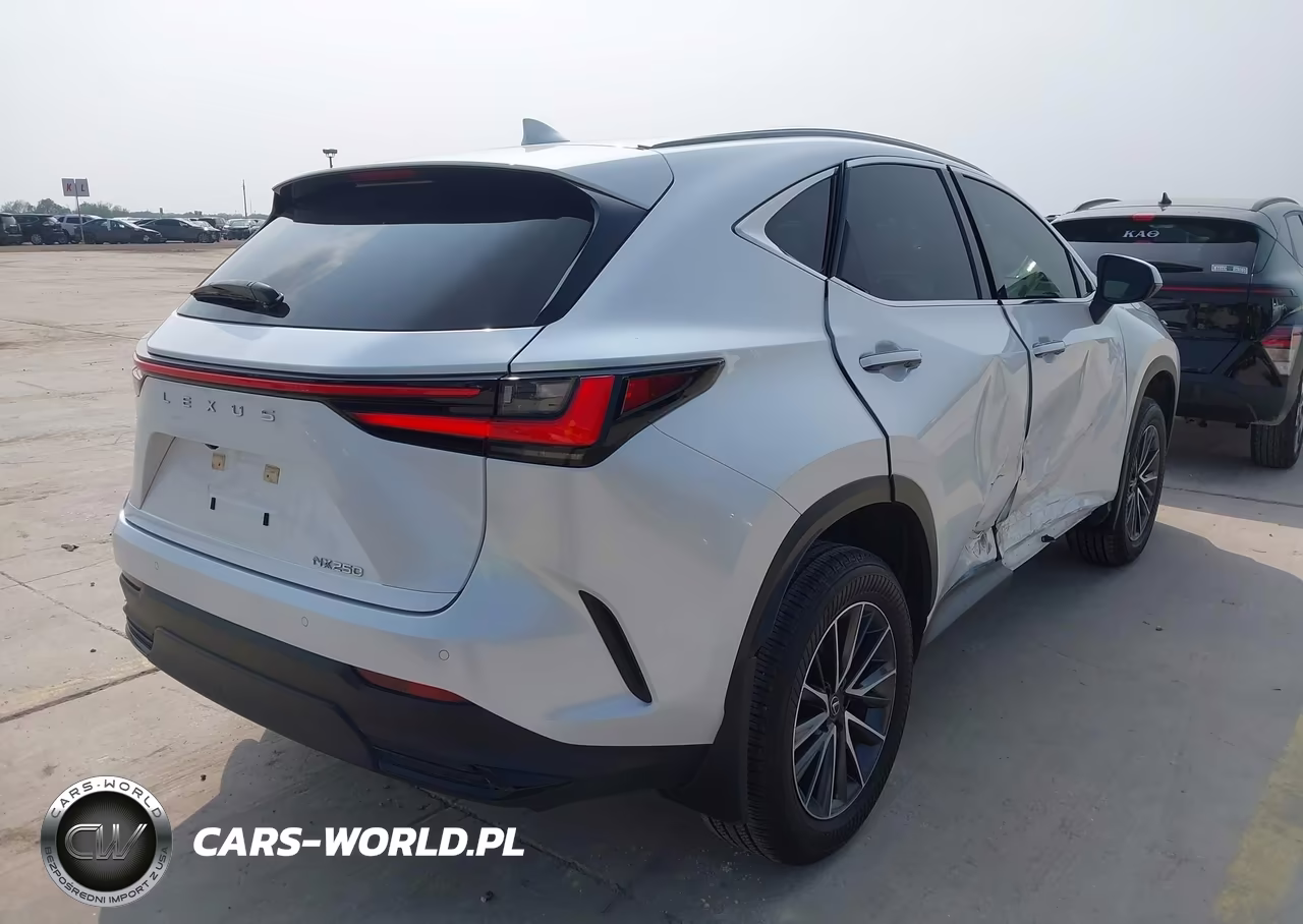 2025 Lexus Nx 250 Premium VIN:JTJGDCAZ7S5023098 - 4