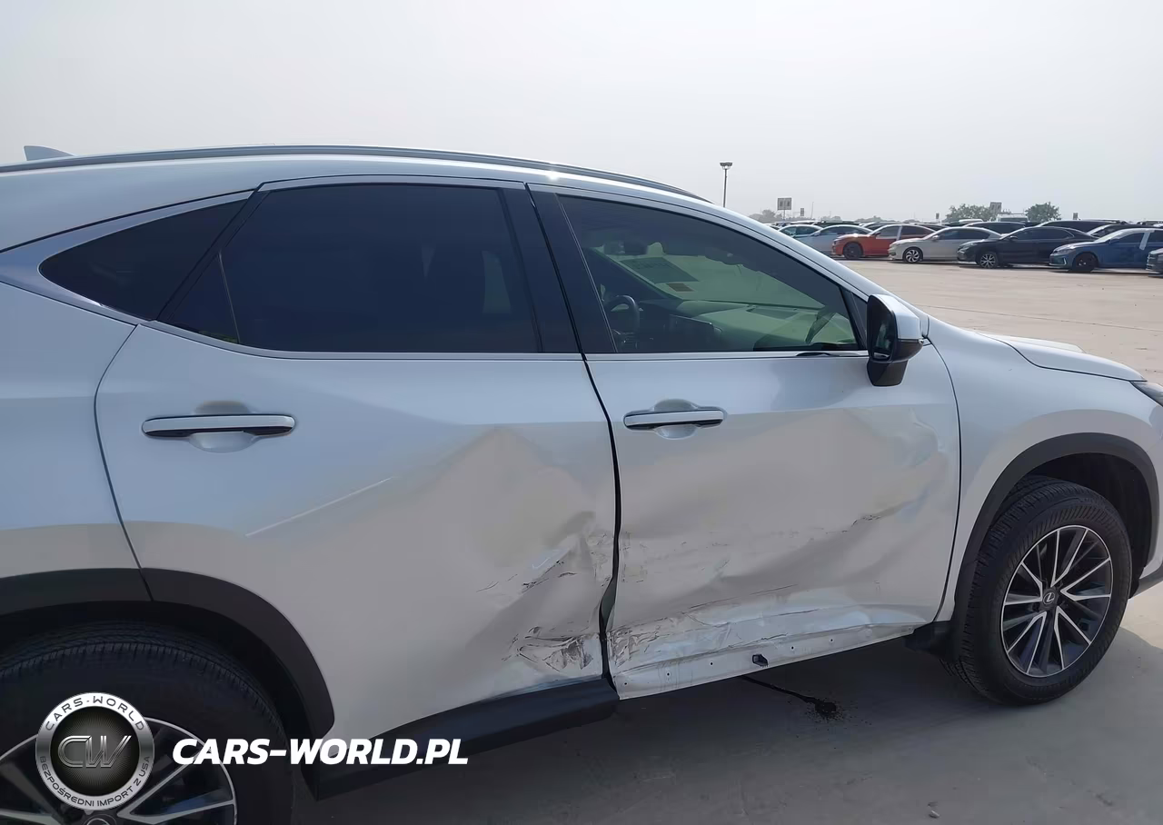 2025 Lexus Nx 250 Premium VIN:JTJGDCAZ7S5023098 - 6