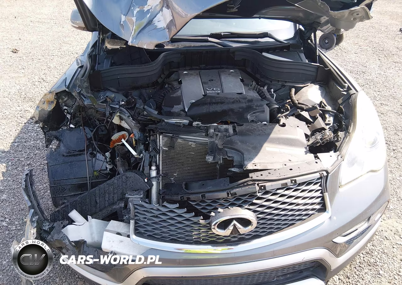 2017 Infiniti Qx50 VIN:JN1BJ0RP1HM383315 - 10