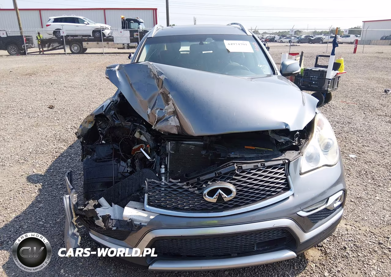2017 Infiniti Qx50 VIN:JN1BJ0RP1HM383315 - 13