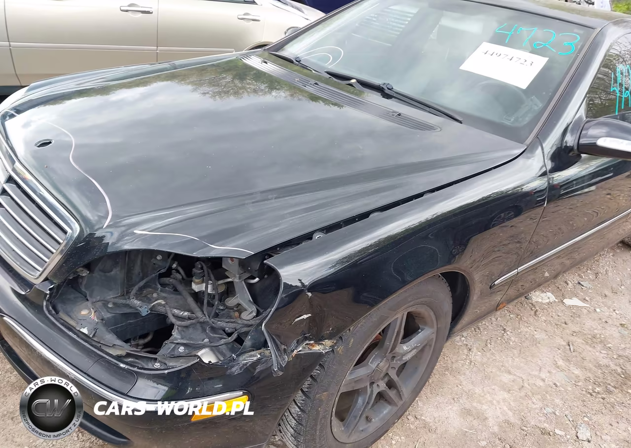 2004 Mercedes-Benz S 500 VIN:WDBNG75J44A423545 - 13