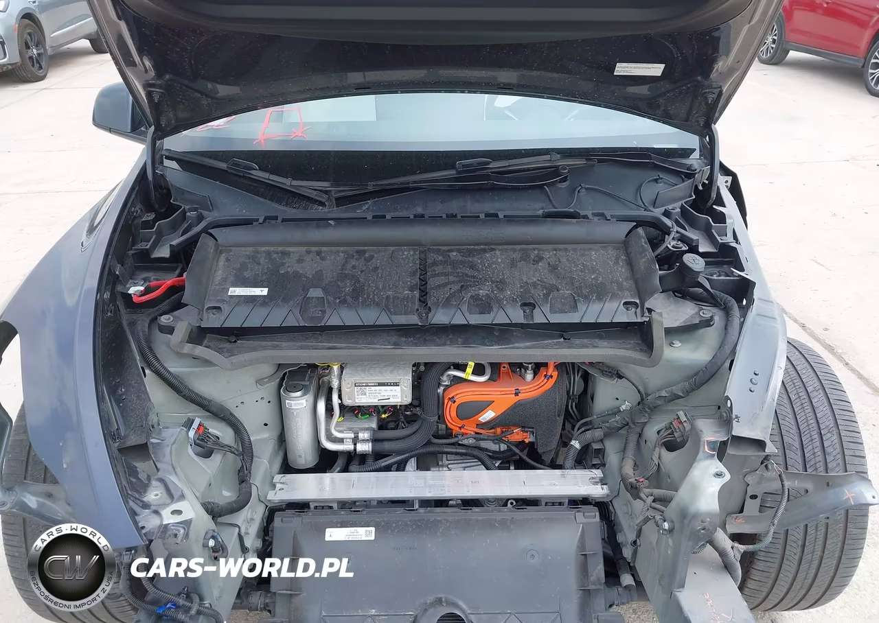 2024 Tesla Model Y Long Range Dual Motor All-Wheel Drive VIN:7SAYGDEE6RA223829 - 10
