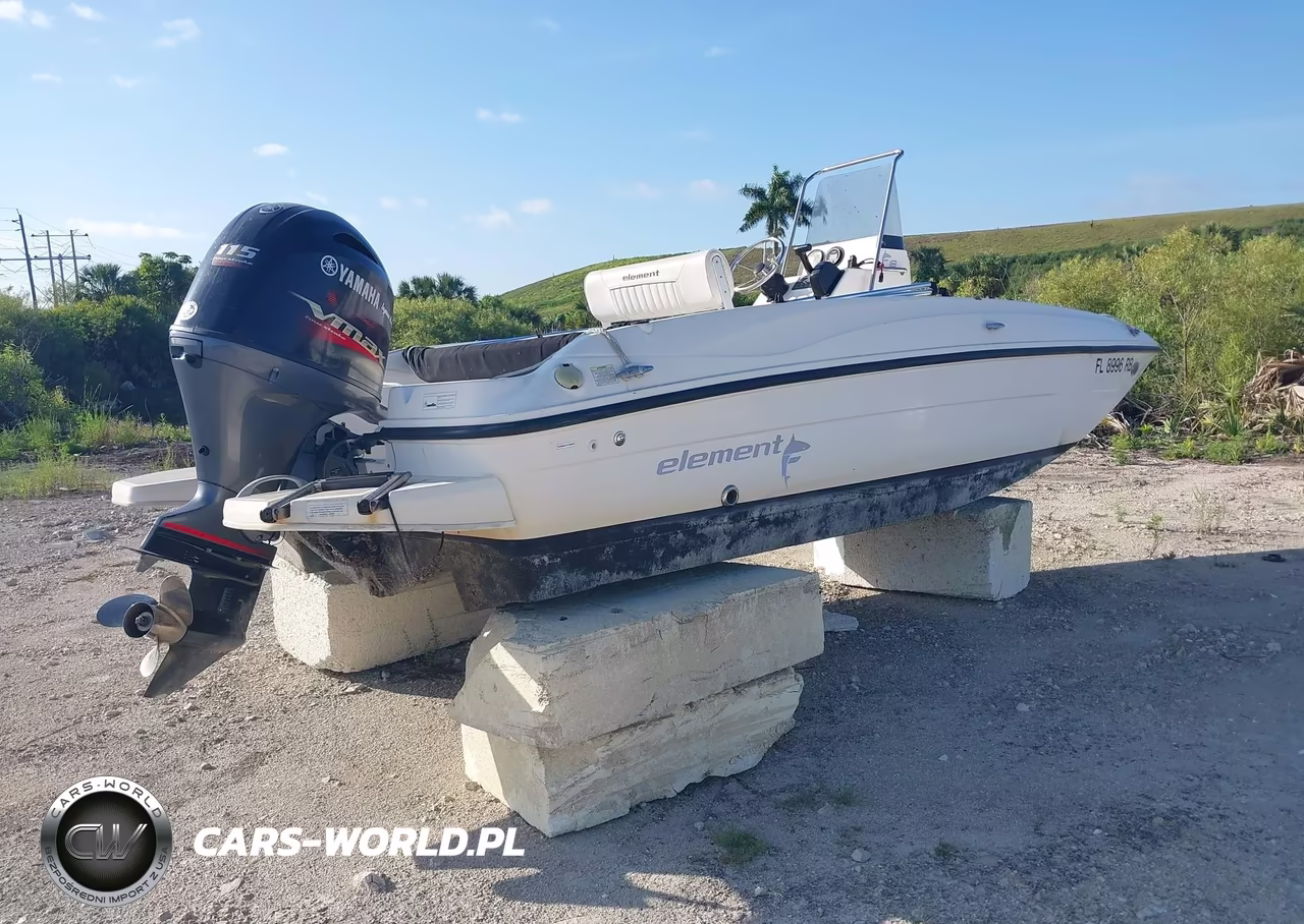 2016 Bayliner Element F18 VIN:BLBX3207J516 - 4
