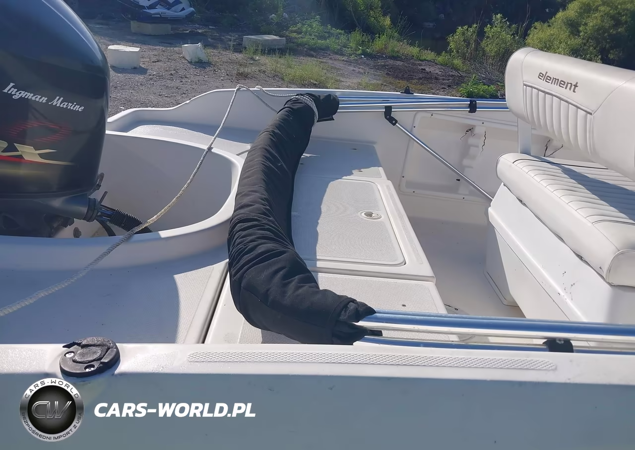 2016 Bayliner Element F18 VIN:BLBX3207J516 - 8