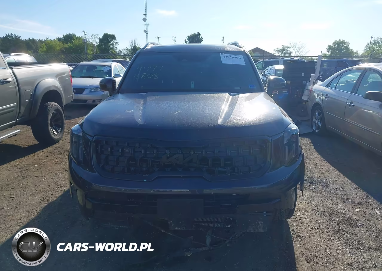 2025 Kia Telluride Ex X-Pro VIN:5XYP3DGC1SG613898 - 13