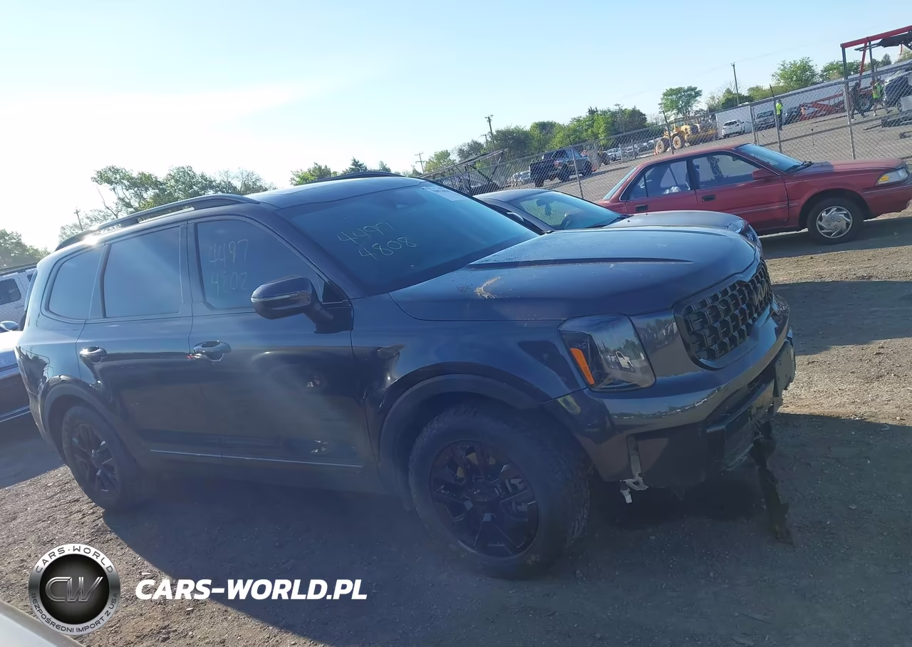 2025 Kia Telluride Ex X-Pro VIN:5XYP3DGC1SG613898 - 14