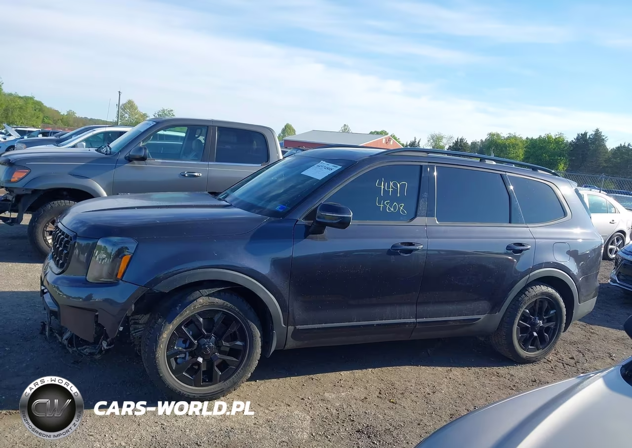 2025 Kia Telluride Ex X-Pro VIN:5XYP3DGC1SG613898 - 15