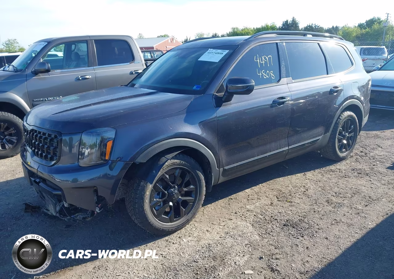 2025 Kia Telluride Ex X-Pro VIN:5XYP3DGC1SG613898 - 2