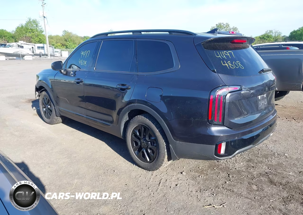 2025 Kia Telluride Ex X-Pro VIN:5XYP3DGC1SG613898 - 3