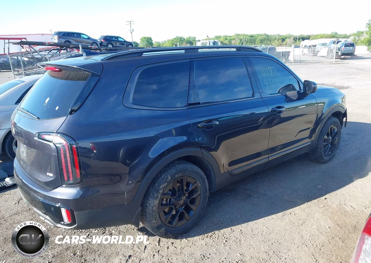 2025 Kia Telluride Ex X-Pro VIN:5XYP3DGC1SG613898 - 4