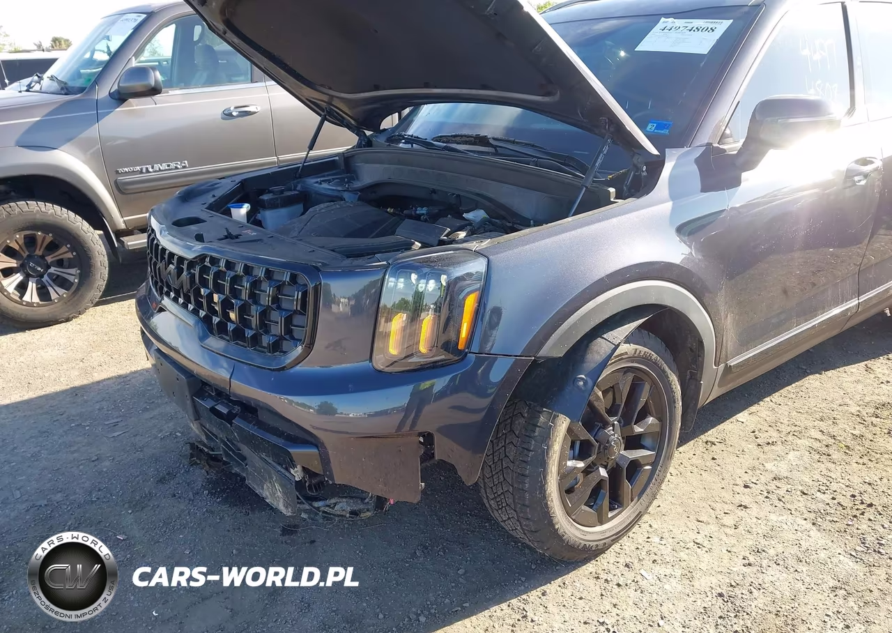 2025 Kia Telluride Ex X-Pro VIN:5XYP3DGC1SG613898 - 6