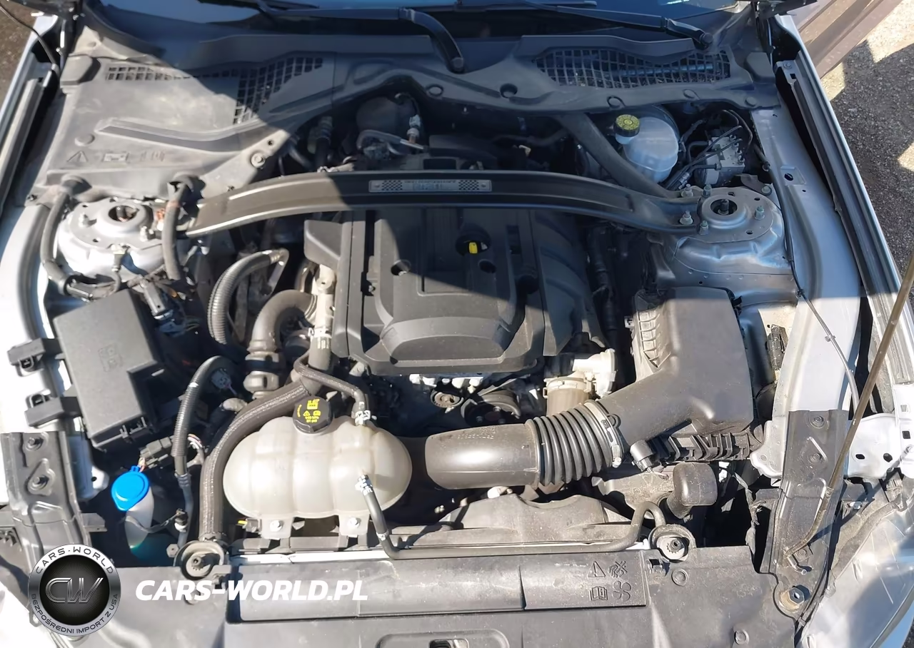 2020 Ford Mustang Ecoboost Fastback VIN:1FA6P8TD4L5149785 - 10