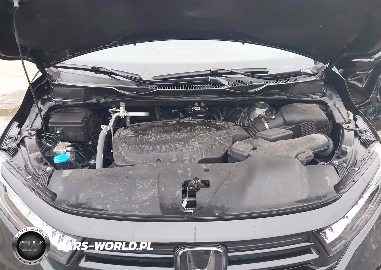 2024 Honda Odyssey Sport VIN:5FNRL6H75RB002294 - 10