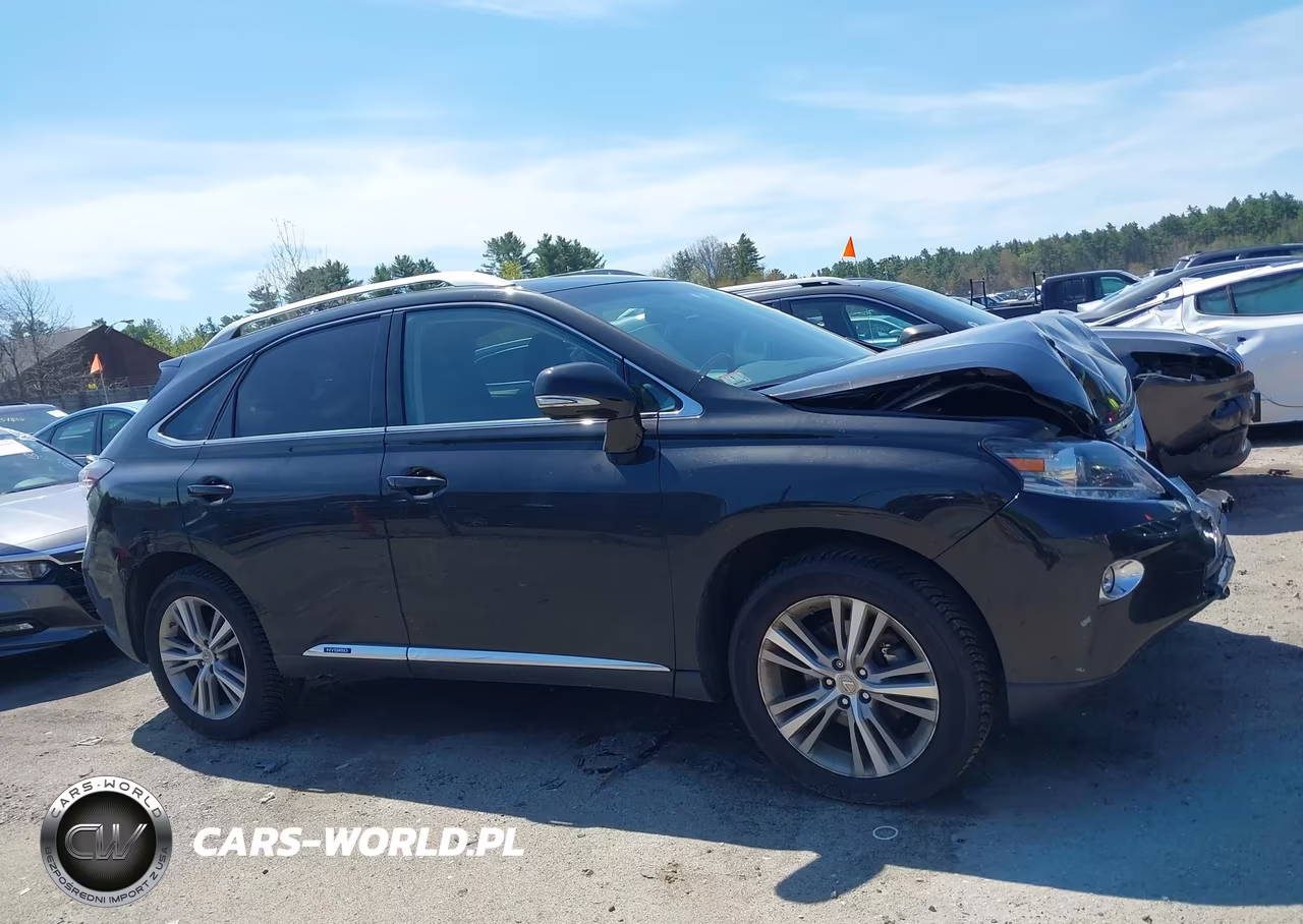 2015 Lexus Rx 450H VIN:2T2BC1BA3FC007675 - 13