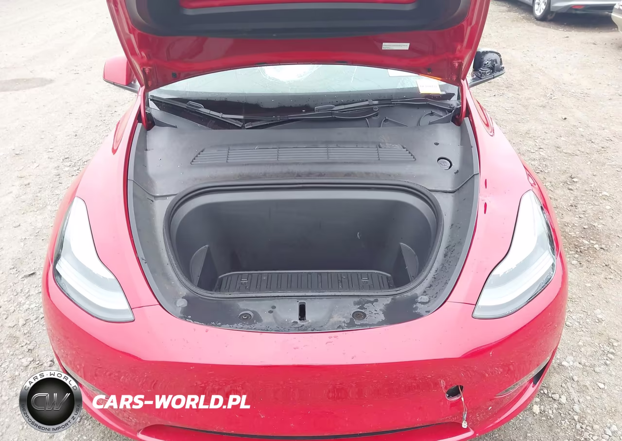 2023 Tesla Model Y Performance Dual Motor All-Wheel Drive VIN:7SAYGDEF4PF845371 - 10