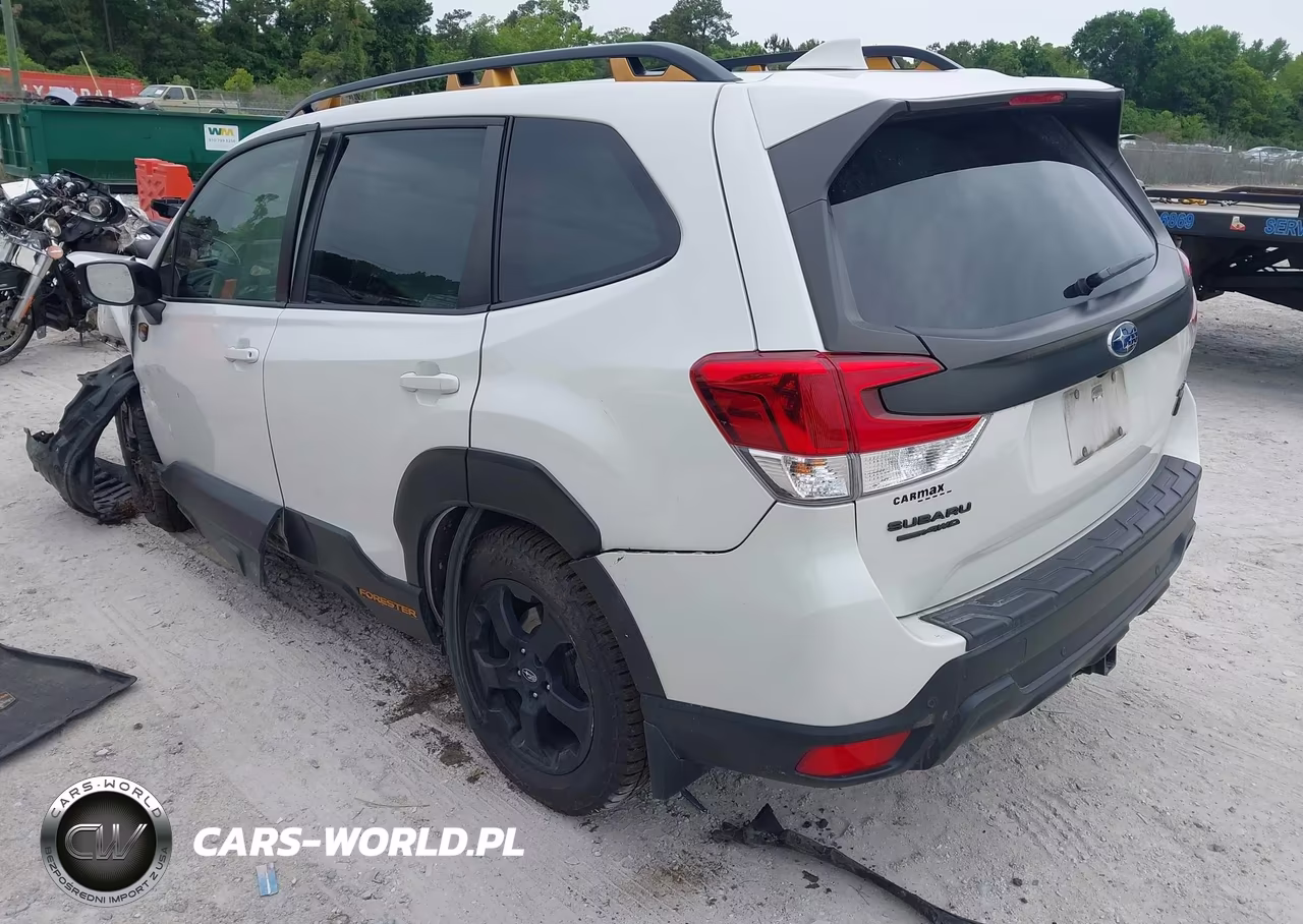 2022 Subaru Forester Wilderness VIN:JF2SKAMC8NH439759 - 3