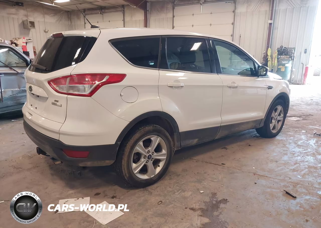 2014 Ford Escape Se VIN:1FMCU0GXXEUD02492 - 4