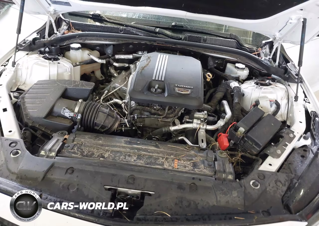 2021 Cadillac Ct5 Luxury VIN:1G6DM5RK6M0118845 - 10