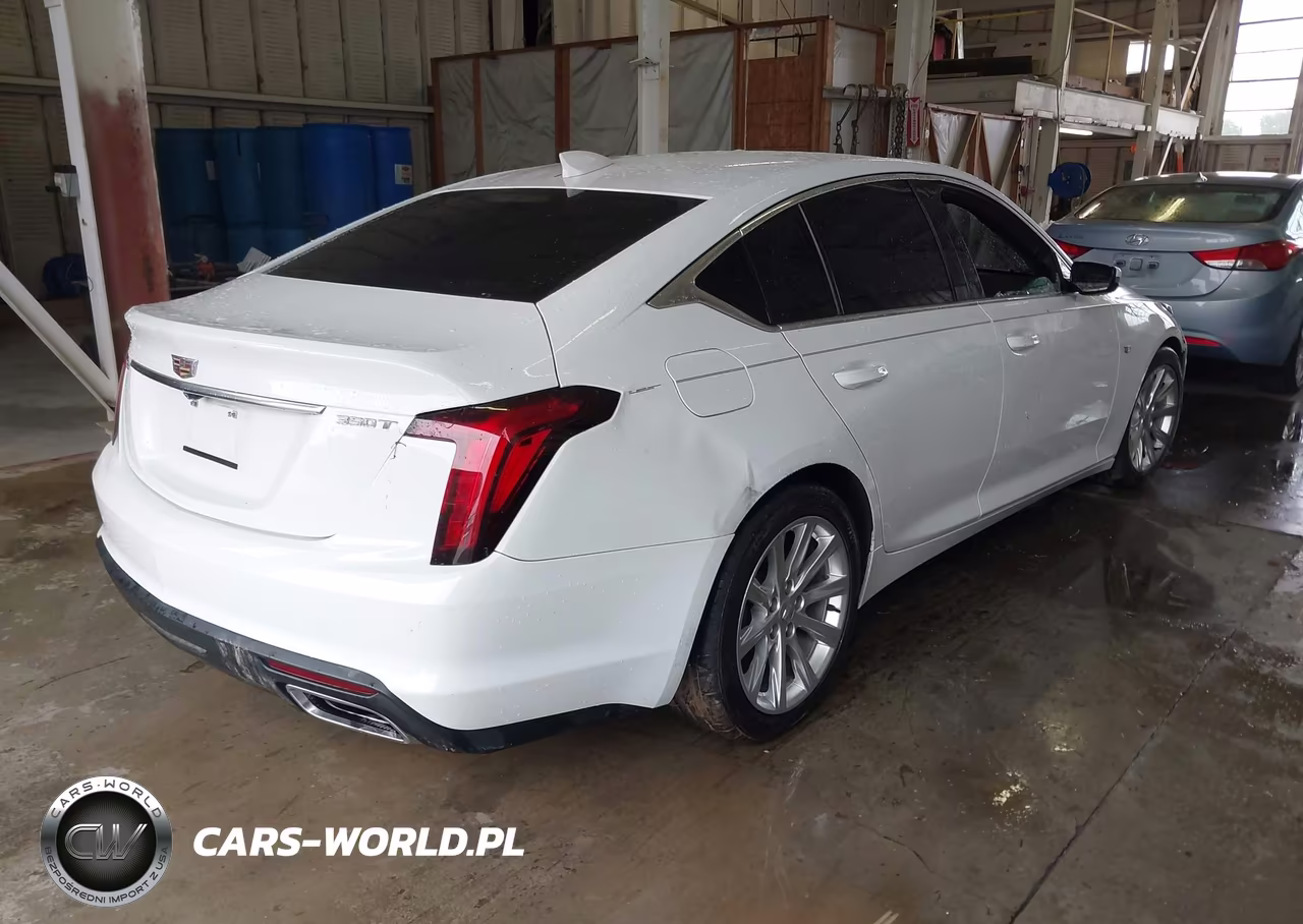 2021 Cadillac Ct5 Luxury VIN:1G6DM5RK6M0118845 - 4
