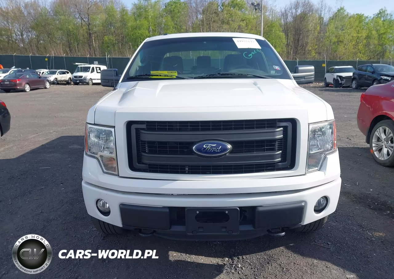 2014 Ford F-150 Stx VIN:1FTFX1EF4EKG20743 - 12