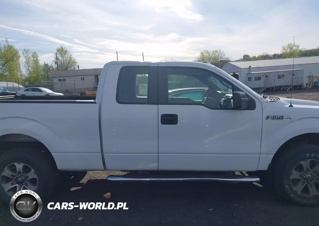 2014 Ford F-150 Stx VIN:1FTFX1EF4EKG20743 - 13