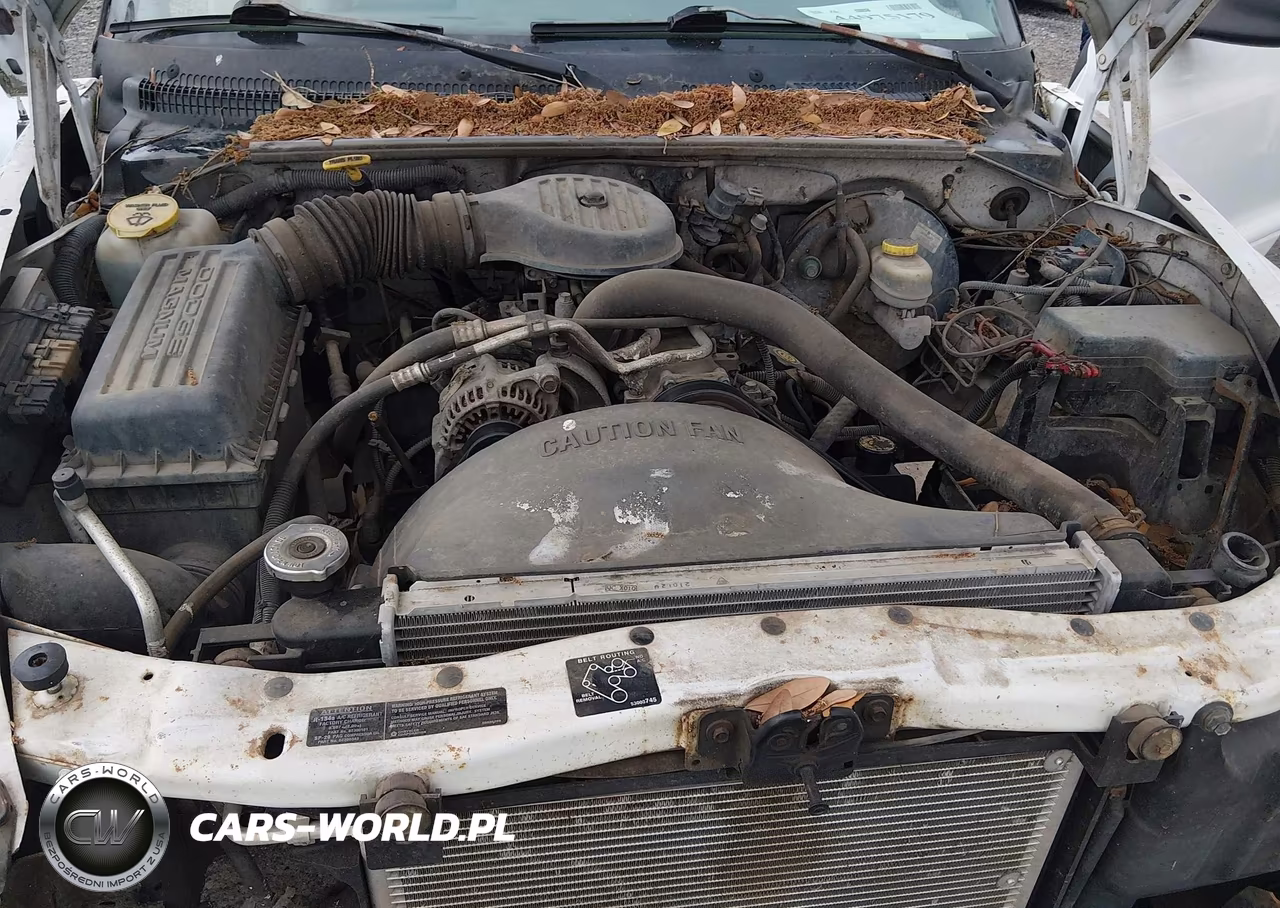 1998 Dodge Dakota Slt-Sport VIN:1B7GG26X9WS681704 - 10