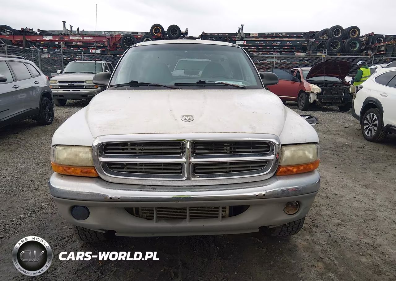1998 Dodge Dakota Slt-Sport VIN:1B7GG26X9WS681704 - 13