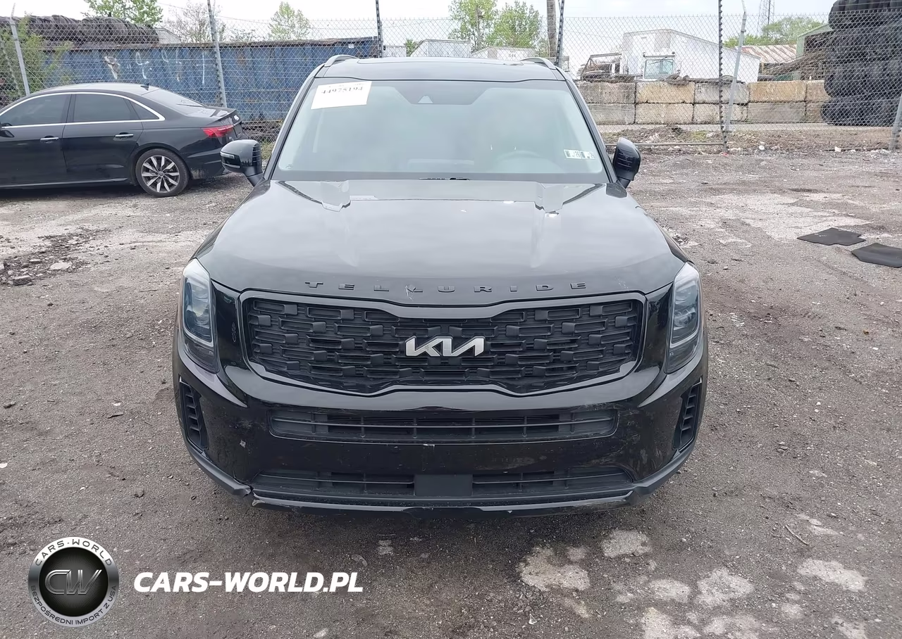 2022 Kia Telluride Ex VIN:5XYP3DHC1NG215349 - 12