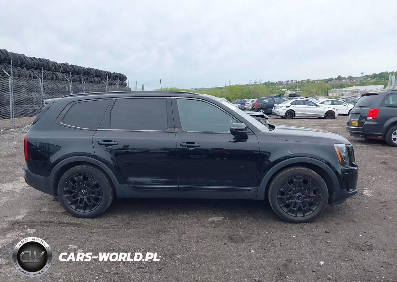2022 Kia Telluride Ex VIN:5XYP3DHC1NG215349 - 13