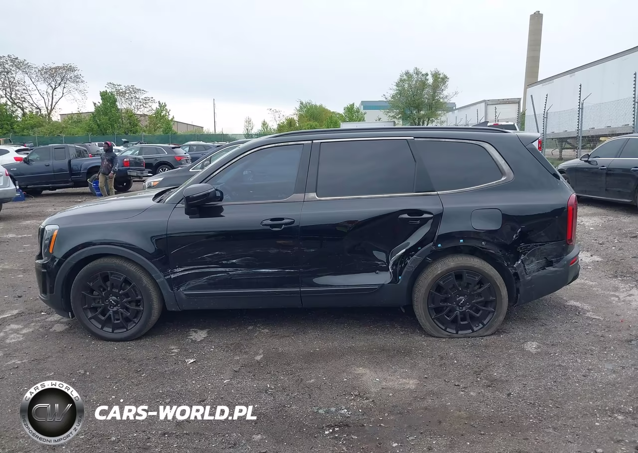 2022 Kia Telluride Ex VIN:5XYP3DHC1NG215349 - 14