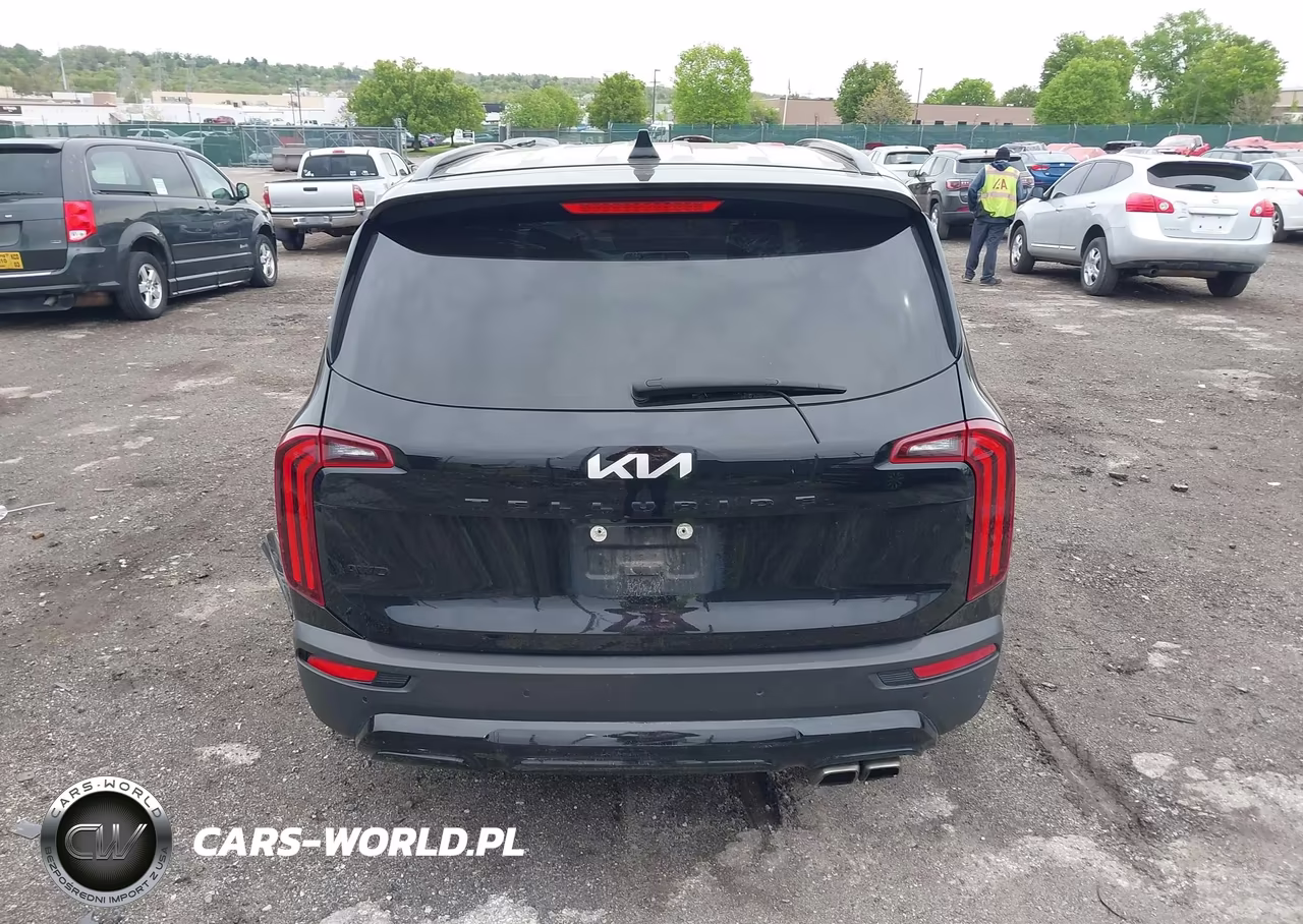 2022 Kia Telluride Ex VIN:5XYP3DHC1NG215349 - 16