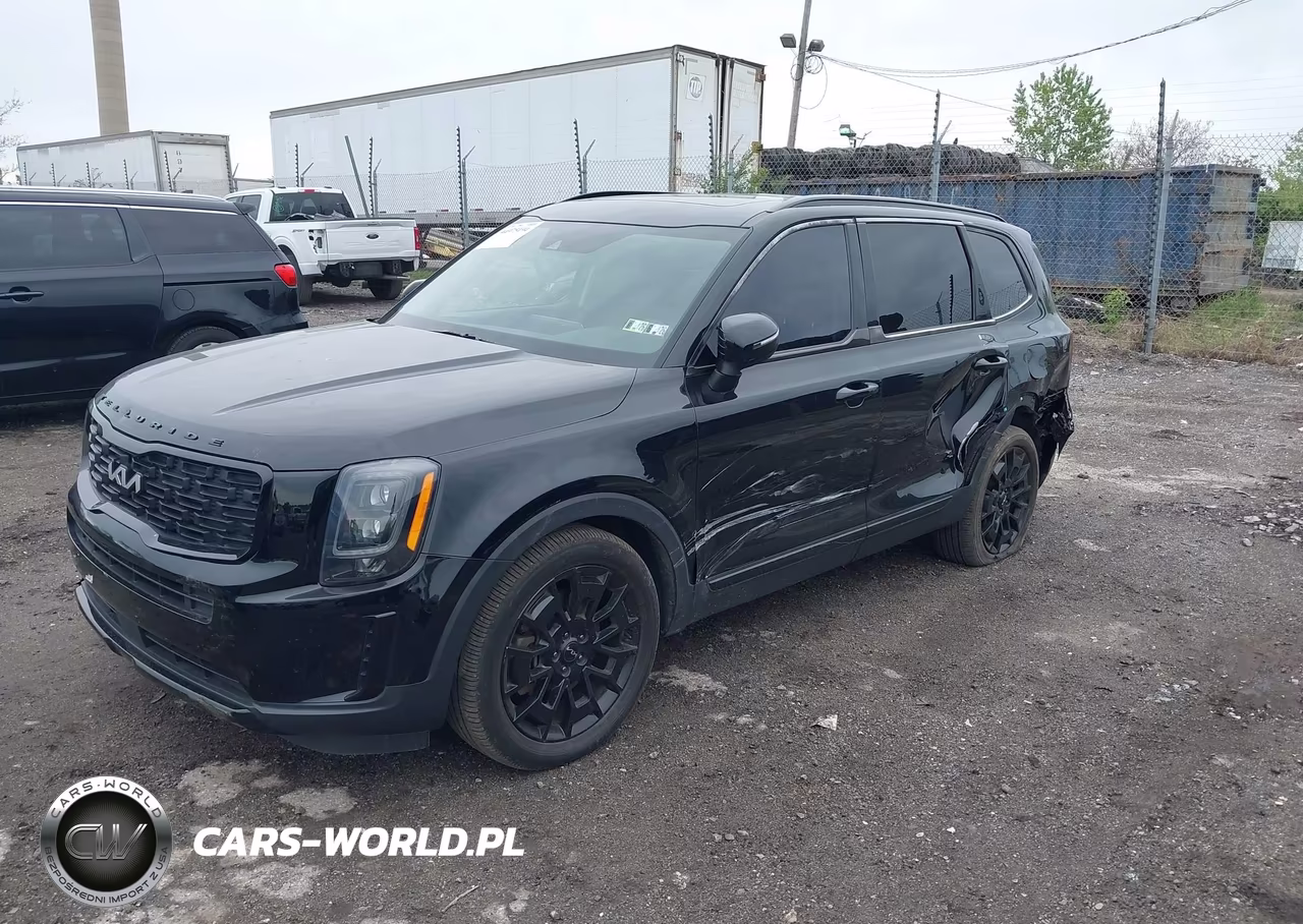 2022 Kia Telluride Ex VIN:5XYP3DHC1NG215349 - 2