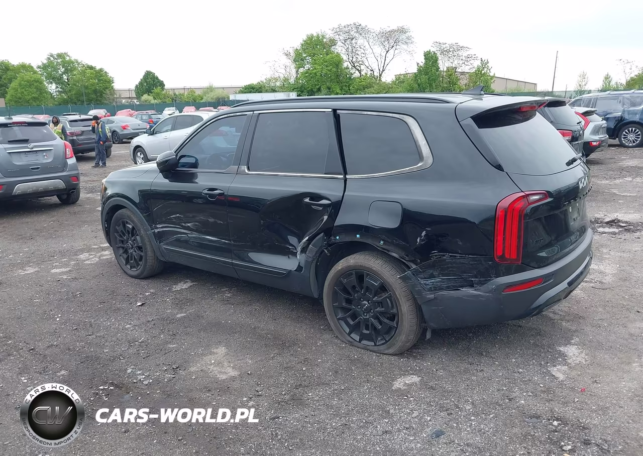 2022 Kia Telluride Ex VIN:5XYP3DHC1NG215349 - 3