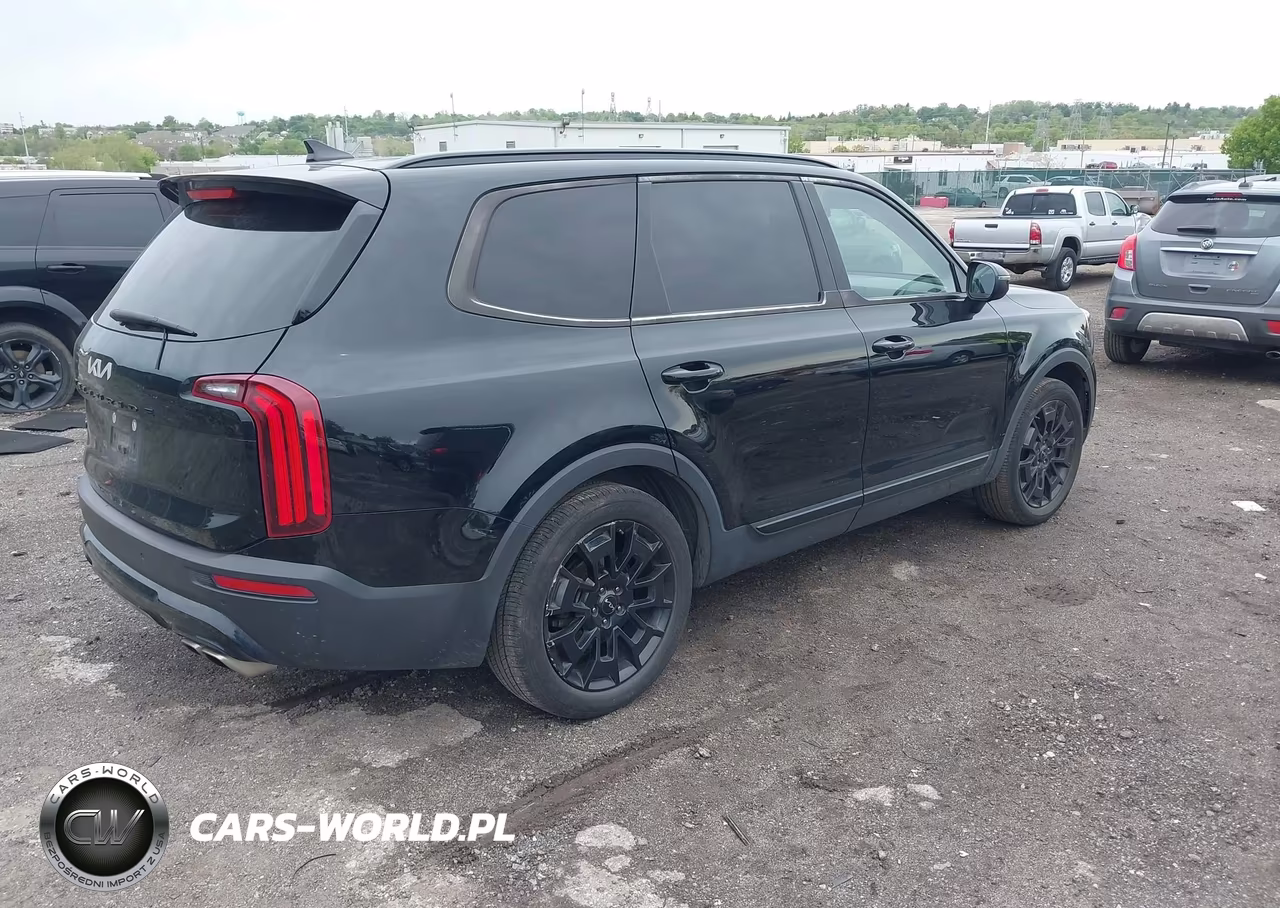 2022 Kia Telluride Ex VIN:5XYP3DHC1NG215349 - 4