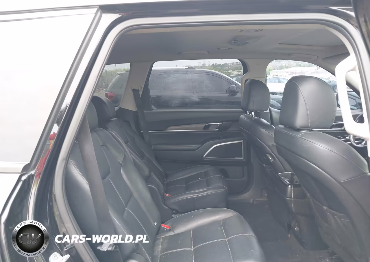 2022 Kia Telluride Ex VIN:5XYP3DHC1NG215349 - 8