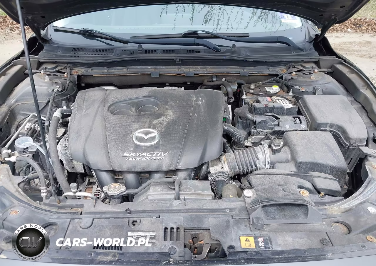 2017 Mazda Mazda3 Touring 2.5 VIN:JM1BN1L39H1139815 - 10