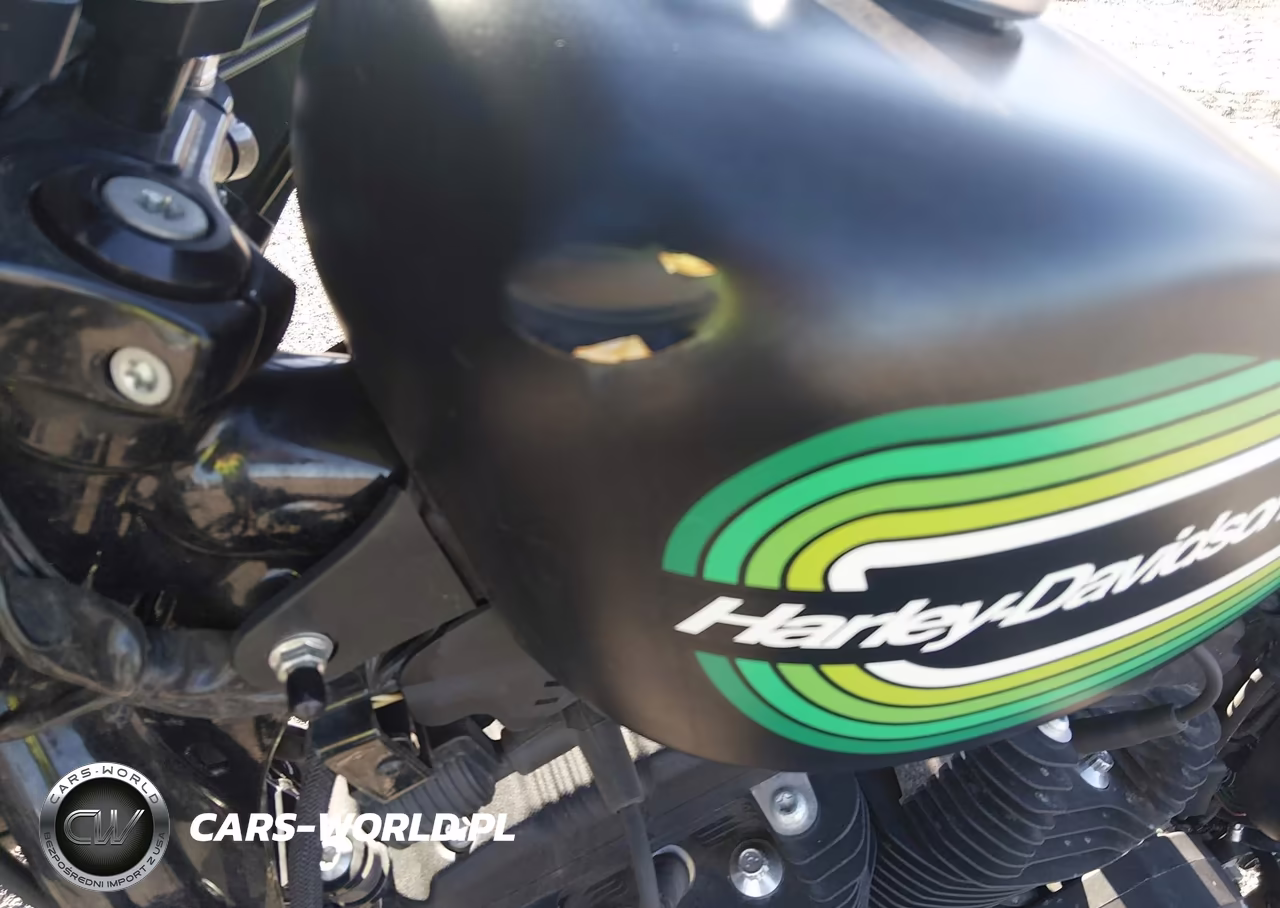 2021 Harley-Davidson Xl1200 Ns VIN:1HD1LP317MB407573 - 15