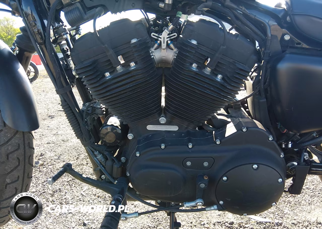 2021 Harley-Davidson Xl1200 Ns VIN:1HD1LP317MB407573 - 9