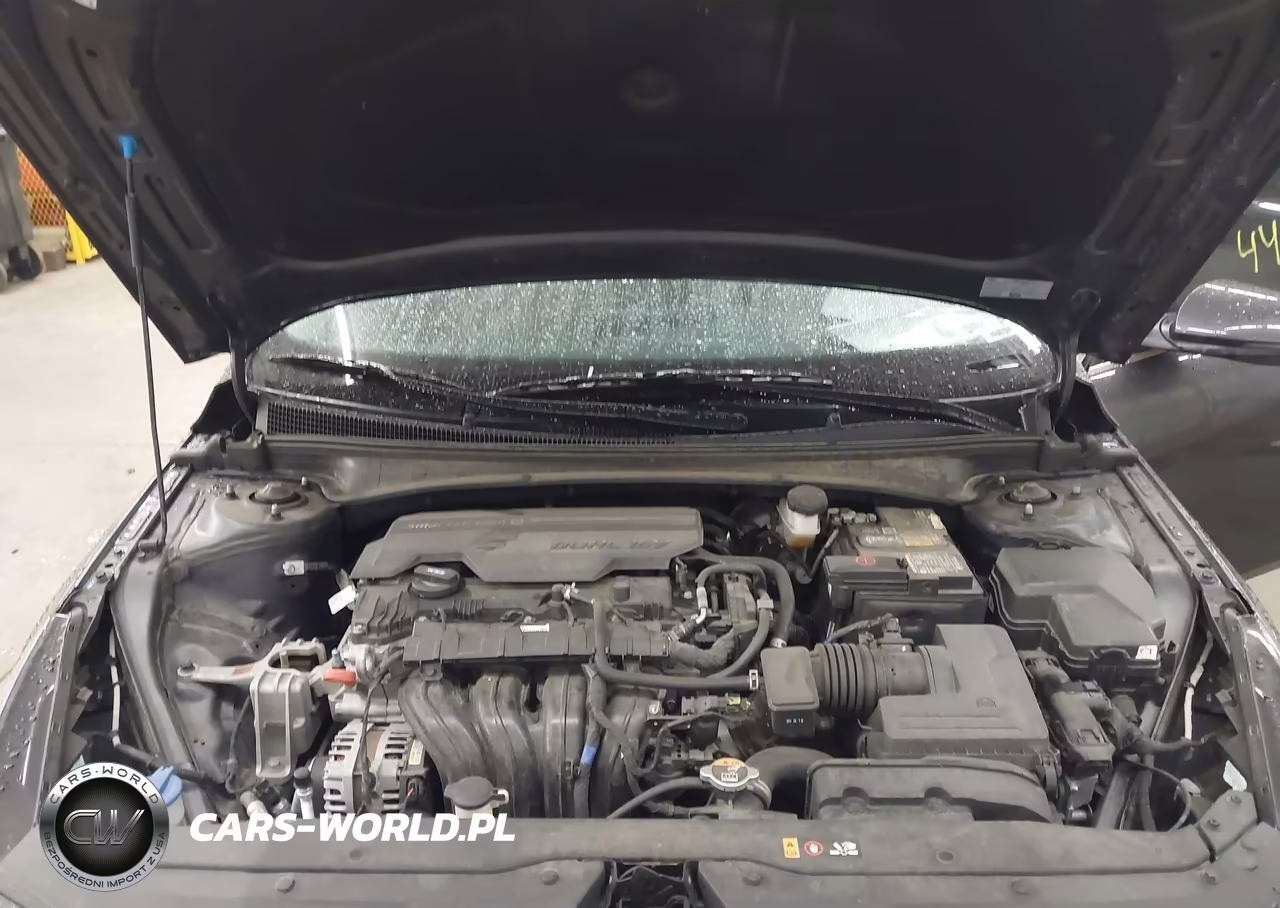 2023 Hyundai Elantra Limited VIN:5NPLP4AG8PH106074 - 10